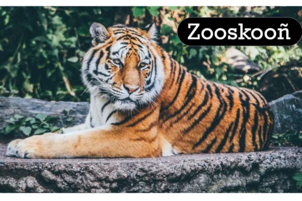 Zooskooñ, Significance, Encounters & More Zooskooñ